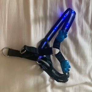 Lighted dog harnesses.